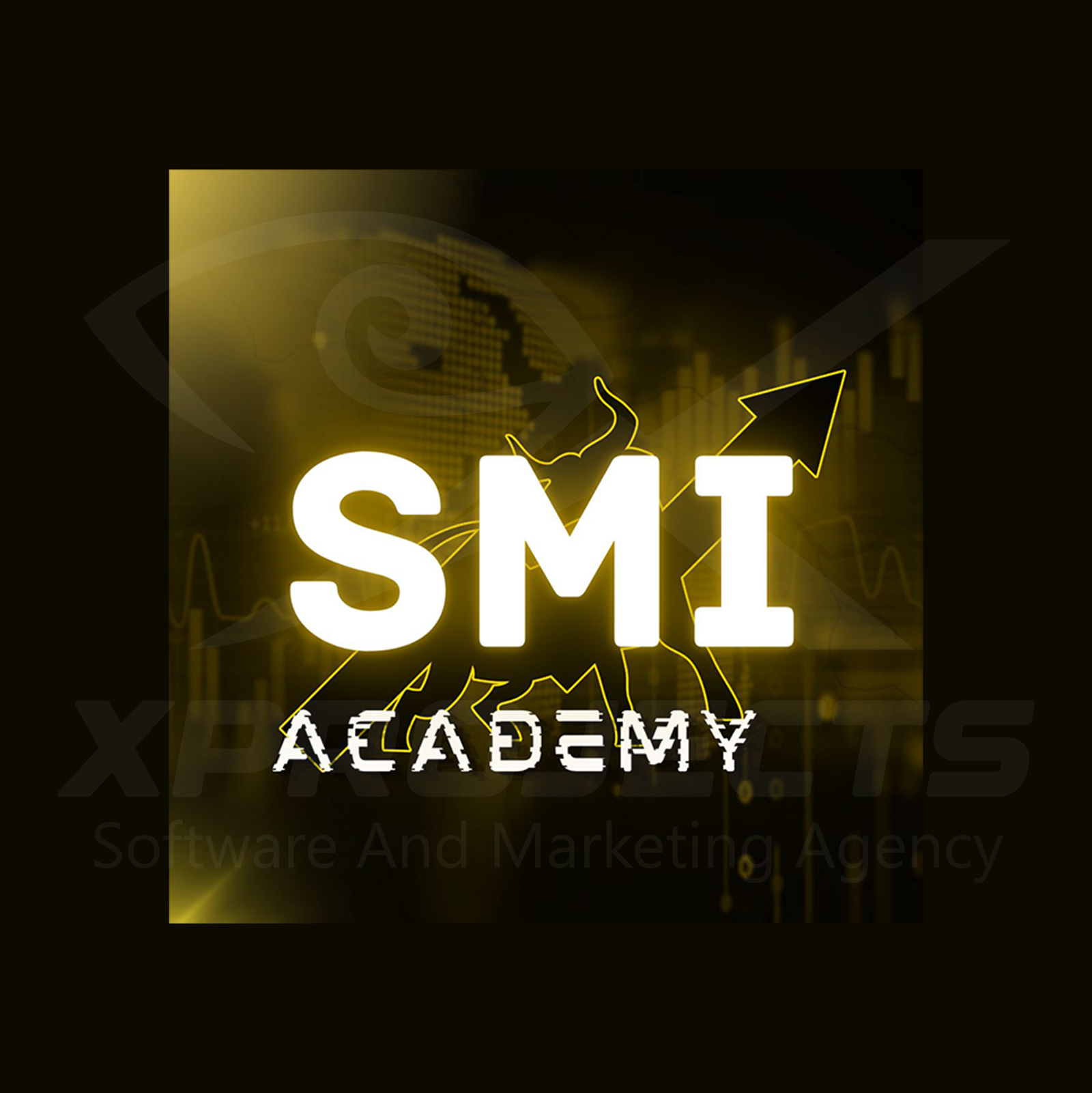SMI-Academy
